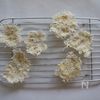 材料2つパリパリしらすせんべい子どものおやつ・おつまみにの工程4