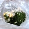 カリッと止まらない♪【オクラとちくわのコロコロ磯辺揚げ】の工程2