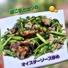 サトちゃんの作ってみた!投稿(ワンパンで!身体いたわる【豚こまとせりのオイスター炒め】)
