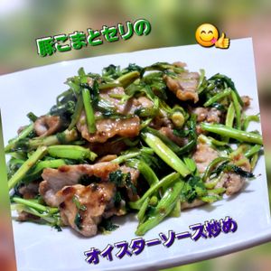 サトちゃんの作ってみた!投稿(ワンパンで！身体いたわる【豚こまとせりのオイスター炒め】)