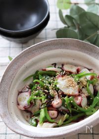 刺身 ごま油 生姜の人気料理 レシピランキング 10品 Nadia ナディア