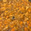 【鯖カレー】鯖とは思えないガチうまの工程5