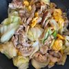 おまめの作ってみた!投稿(【豚たまキャベツの旨だれ炒め】ご飯に合う!キャベツたっぷり♪)