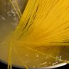 【激旨！】最高の子持ち昆布の食べ方！子持ち昆布のパスタの工程3
