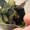 3分で完成🙌＜塩コン中華風きゅうり＞混ぜるだけ！の工程2