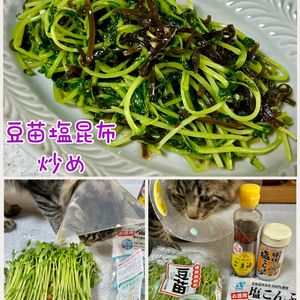 のりのり🐾🎀🤍の作ってみた!投稿(【豆苗塩昆布炒め】炒め時間1分！超速攻で無限に食べられる✨)