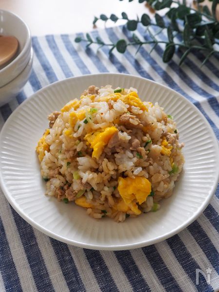 ねぎ塩豚ひき炒飯