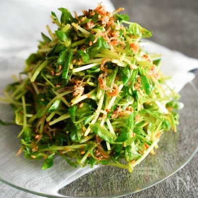 ペロリと一袋!『ごま油香るじゃことおかかの豆苗サラダ』