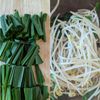レンジでシャキ旨おつまみ【豆もやしニラのおかか明太ナムル】の工程1