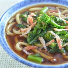菜の花と桜海老のあんかけうどん