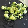 パリパリ美味しい♩【ブロッコリーのチーズ焼き】の工程1