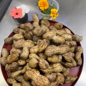 そら・ゆずの作ってみた!投稿(秋の味覚【生落花生の塩茹で】茹で方の基本～保存まで)