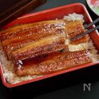 うなぎの旬はいつ？天然と養殖の違い、うなぎの蒲焼アレンジレシピも