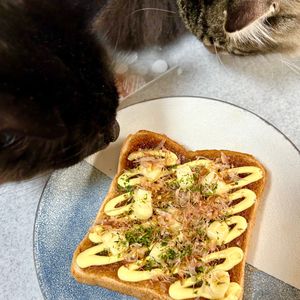 のりのり🐾🎀🤍の作ってみた!投稿(のせて焼くだけ！ベビーチーズのお好み焼きトースト)