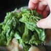 新玉ねぎと菜の花と鶏肉のフライパン蒸しの工程4