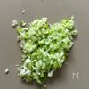 【ねぎしらす炒飯】卵不使用でも美味しい！家族で爆食いの下準備
