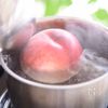 桃のゼリー🍑紅茶のパンナコッタの工程6