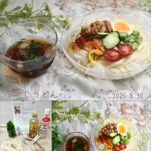 クラ蔵の作ってみた!投稿(氷水がいい仕事ッぷり！夏~冷やしうどん)