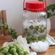 お酢の効果で早漬け&発酵予防！梅シロップの作り方