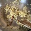 スパイシーでヘルシー【チャナマサラ】ひよこ豆のカレーの工程3