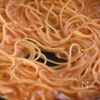 めざせ専門店!トマトカルボナーラ🍅ワンパン手間なしパスタの工程4