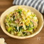 【白菜とツナの和風サラダ】さっぱり美味しい♪
