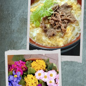ゆみの作ってみた!投稿(【甘辛肉のふわとろ卵あんかけうどん】甘めの味付けがおいしい♡)