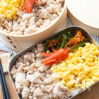 がんばらなくても美味しい!塩そぼろ弁当|必殺!アヤコの10分弁当Vol.20