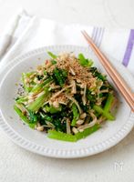 【小松菜とえのきの麺つゆごま和え】砂糖不使用