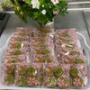 そら・ゆずの作ってみた!投稿(米粉のコーヒーディアマンクッキー【さくっほろっ】)