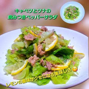 サトちゃんの作ってみた!投稿(レモンが爽やか！キャベツとツナのやみつきペッパーサラダ)