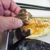 焼き茄子と豚しゃぶのぶっかけ素麺の工程3