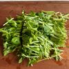 腸活にぴったり♪【豆苗とえのきの大人和え】の工程1