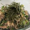 【小松菜の和風ナムル】栄養ぎゅっと♪の工程5
