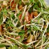 秒で完成！水菜とキムチのチーズサラダの工程4