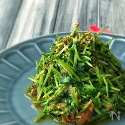 ポリ袋で簡単!*豆苗の梅和え*