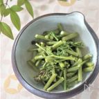蕨のお浸し辛子味