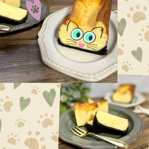 のりのり🐾🎀🤍の作ってみた!投稿(コーヒーと一緒に♪『ベイクドチーズバー✨』)