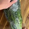 ＼包丁不要／レンチン2分【ほうれん草の甘ごまあえ】お弁当にもの下準備