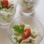 パクチー香るひよこ豆入りコールスローサラダ。