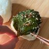 暖かい日に食べたくなる！大葉の梅めんつゆ漬けおにぎりの工程5