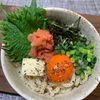 楽ラク手抜キッチン🐶🐾の作ってみた!投稿(やみつき【釜玉明太バターうどん】のせて混ぜるだけでクリーミー)