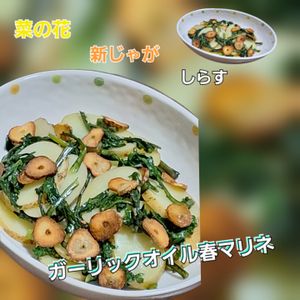 サトちゃんの作ってみた!投稿(菜の花・新じゃが・しらすガーリックオイル春マリネ)