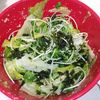 milkの作ってみた!投稿(シャキシャキ♪レタスとかいわれ大根の塩ナムル)