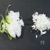 新あさひ豆腐と豆乳の冷やし担々麺の工程3