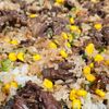 月雪由翔の作ってみた!投稿(【おうちで本格ペッパーランチ風】焼肉のたれで簡単♪)