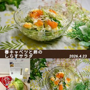 クラ蔵の作ってみた!投稿(【春キャベツと卵のしらすサラダ】ごま油香る♪)