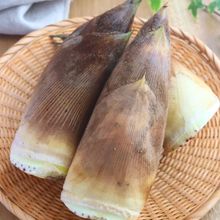米ぬか不要!水だけでOK!たけのこの下茹で
