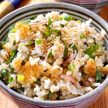 【薬味たっぷり生姜ごはん】見た目以上の美味しさ♡大人ごはん♪
