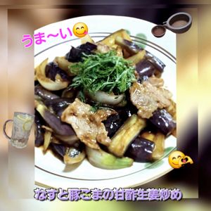 サトちゃんの作ってみた!投稿(【なすと豚こまの甘酢生姜炒め】時短でご飯の進むおかず♪)